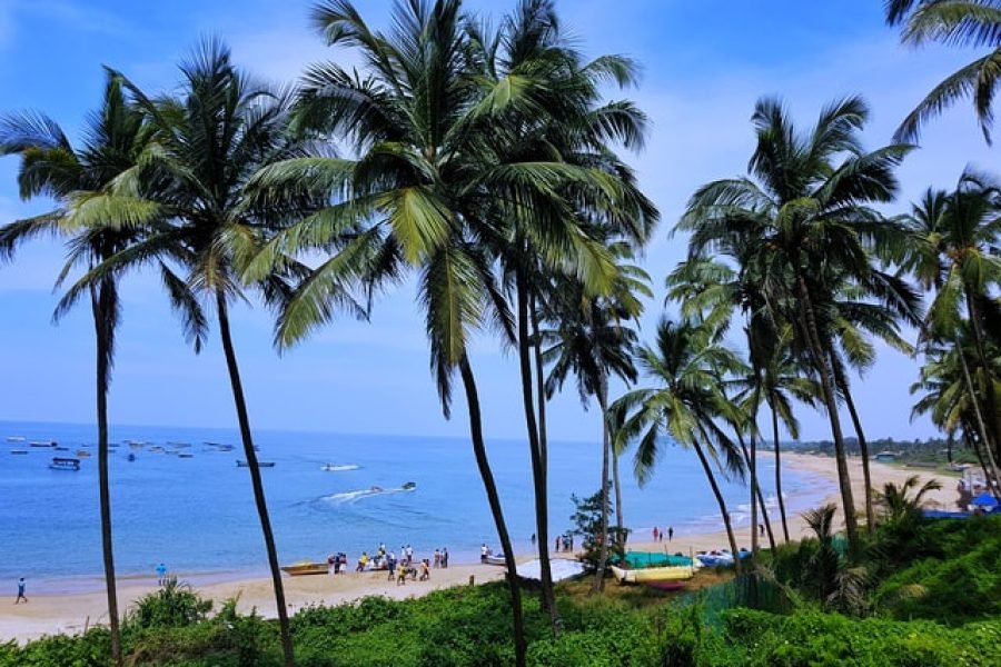 goa