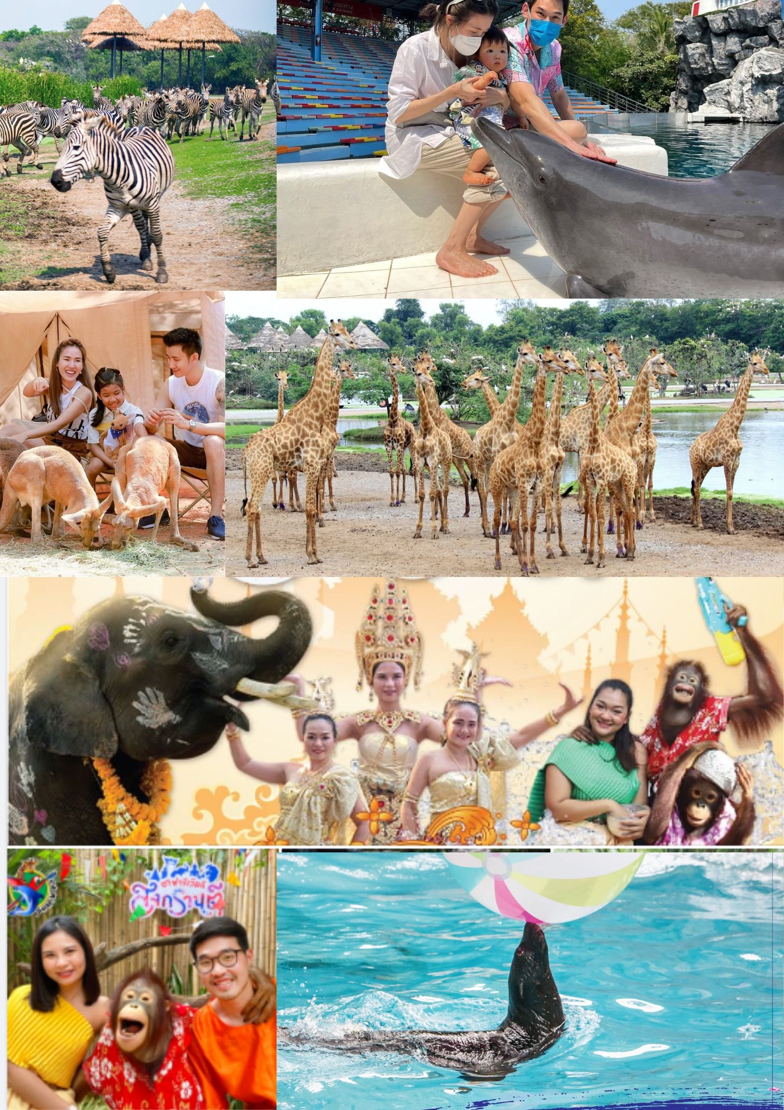 Day 04: Bangkok - Safari World and Marine Park entrance with Lunch