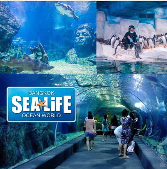 Day 05: Bangkok – Sea Life and Madam Tussaud’s Museum Combi Tickets